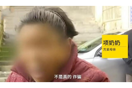 赵县为什么选择专业追讨公司来处理您的债务纠纷？